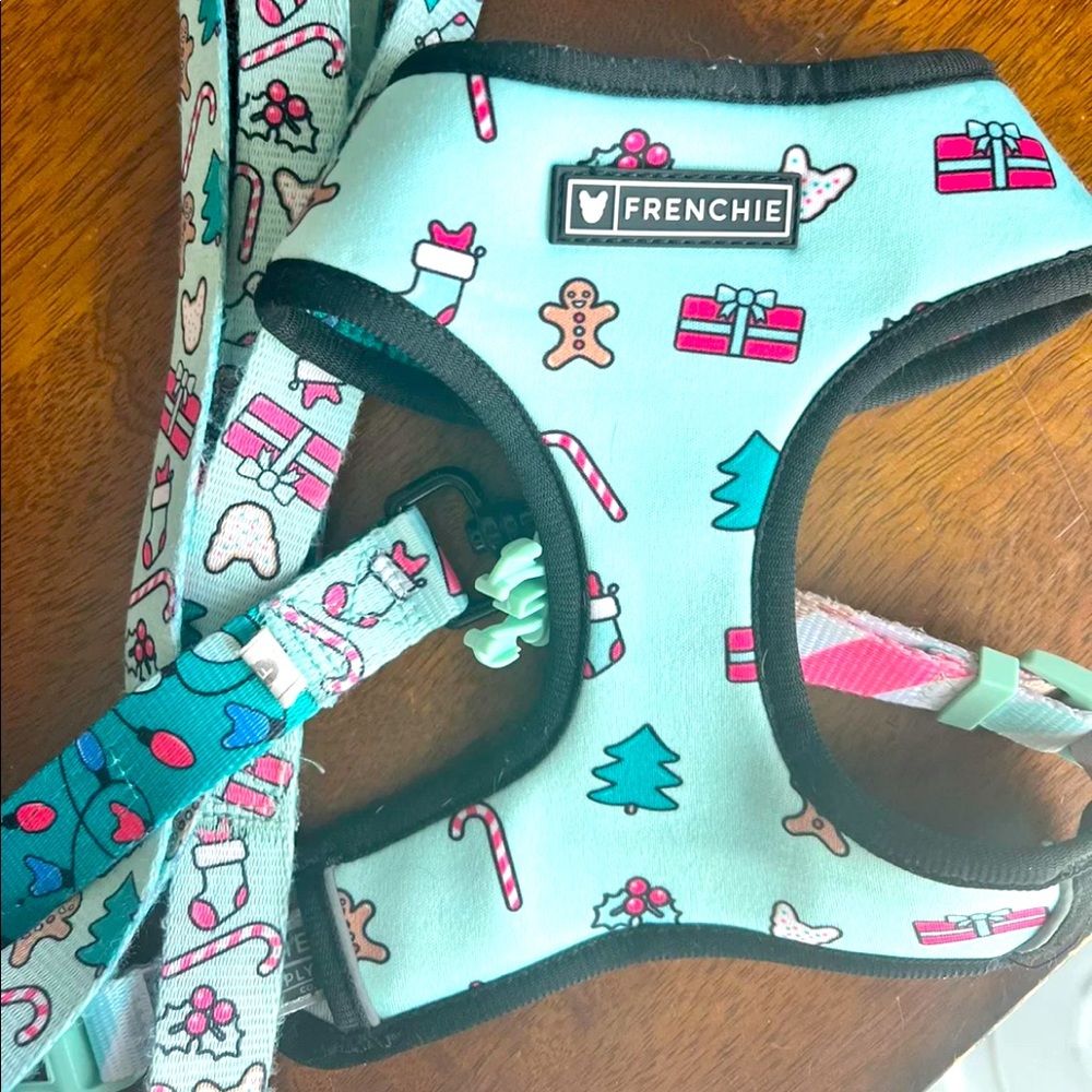 Dog harness and leash